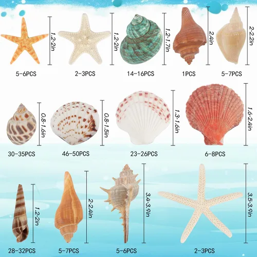 Vista 2 de Fangoo Conchas Marinas Mixtas de 1.5 LB, Más de 130 Piezas de Conchas Marinas de Playa Estrellas de Mar Conchas de Ostra de Varios Tamaños Conchas