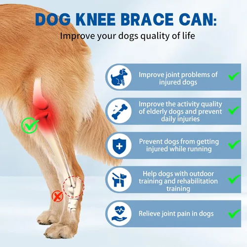 Vista 2 de Rodillera para perro para pierna trasera desgarrada, rodillera universal para perro para cuatro patas, alivia lesiones de ligamentos, soporte