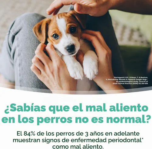 Vista 5 de TropiClean - Aditivo de agua para aliento fresco para cachorros, solución limpiadora de dientes y ambientador de aliento, sin necesidad de pasta