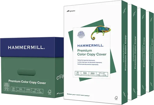 Vista 8 de Hammermill Cartulina, copia a color premium, 80 libras, 19 x 13 – 1 paquete (250 hojas) – 100 brillante, hecho en los Estados Unidos, cartulina