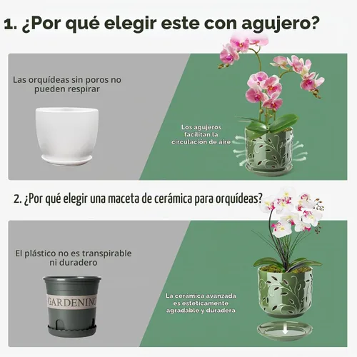 Vista 7 de EFISPSS Macetas de orquídeas con agujeros, macetas de orquídeas de 7 pulgadas con agujeros de drenaje y bandeja, maceta grande