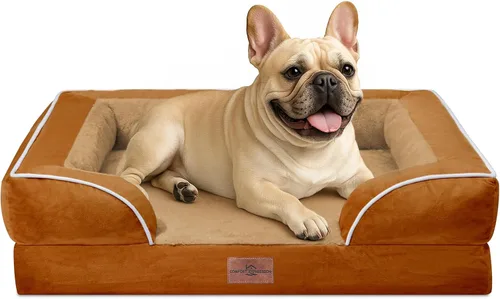 Vista 61 de Comfort Expression - Cama ortopédica para perros medianos, 28 x 19 pulgadas, cama impermeable y de apoyo de espuma con cojines removibles, sofá