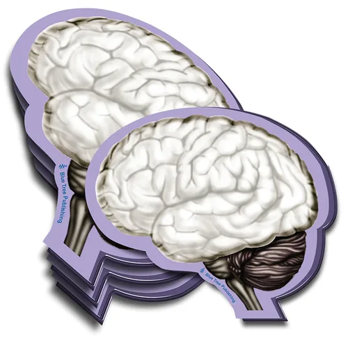 Vista 16 de Notas Adhesivas de Anatomía