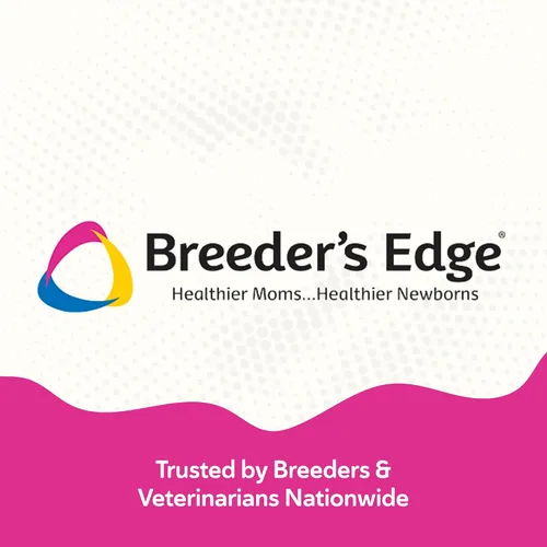 Vista 6 de El borde del criador en el medio para ella, suplemento multivitamínico diario para la cría de perros y gatos, llena los vacíos nutricionales y apoya