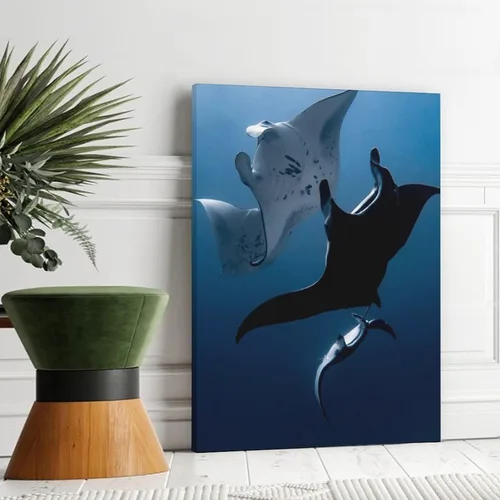 Vista 3 de Póster de lienzo con diseño de peces de animales de manta Rays, decoración de dormitorio, paisaje deportivo, oficina, habitación, regalo, póster