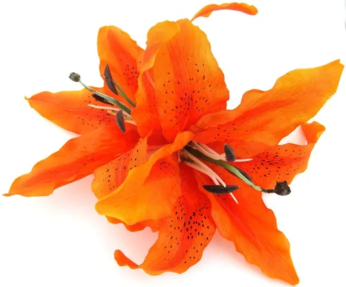 Vista 4 de Pinza para el cabello de seda de lirio de tigre naranja de 8 pulgadas XL doble