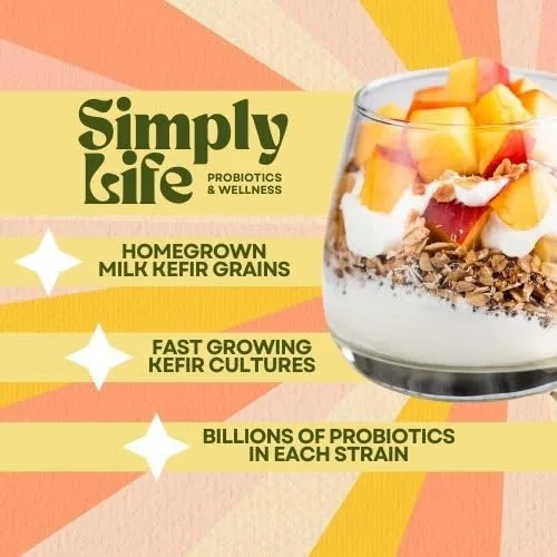 Vista 2 de Granos de kéfir de leche para hacer bebidas probióticas de kéfir