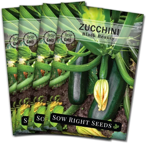 Vista 9 de Sow Right Seeds - Semillas de calabacín Black Beauty para plantar - Paquete de reliquia sin OMG con instrucciones para plantar un huerto doméstico
