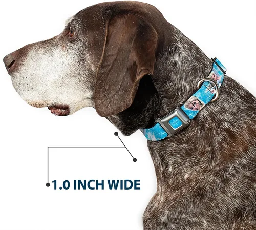 Vista 6 de Buckle-Down Collar de perro con hebilla de cinturón de seguridad, cara de Elsa congelada, postura de acción, copos de nieve, azul, blanco, 1.5