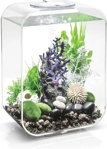 Vista 12 de biOrb Life 15 - Acuario acrílico de 4 galones con luces LED blancas, tanque compacto moderno para mesa o escritorio, negro