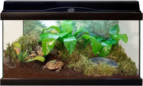 Vista 5 de Sustrato de fibra de coco, suelto, para zoológico, 8 cuartos, de Eco Earth , Paquete de 10