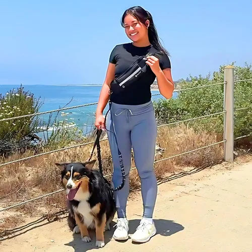 Vista 8 de Correa de perro manos libres con bolsa para la cintura, elástico Negro