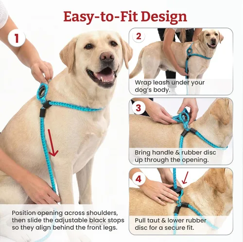 Vista 3 de Harness Lead Juego de arnés y correa para perro sin tirones, arnés antitirones para todas las razas y tamaños, diseño de cuerda acolchada de una
