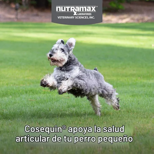 Vista 3 de Nutramax Laboratories Cosequin Plus MSM & Boswellia - Masticables suaves de tamaño mini