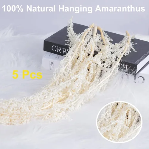 Vista 3 de Glicrili 5 piezas de flores colgantes de glicinia en color crema y blanco - Flores de Amaranthus en crema preservadas y secas para ramo de boda
