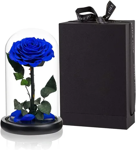 Vista 13 de Rosas preservadas, rosas negras en cúpula de cristal, medianas, flores preservadas para el día de la madre, regalos para mujeres Negro