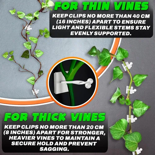 Vista 4 de 100 clips transparentes para plantas trepadoras de interior, clips de pared blancos y flexibles para plantas trepadoras para organizar enredaderas
