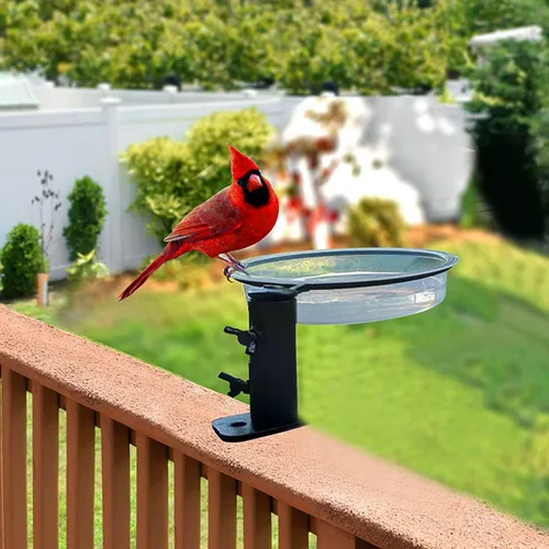 Vista 7 de 2 cuencos redondos de plástico para comederos para pájaros, comedero de semillas de aves silvestres, accesorios para baño de pájaros, bandeja