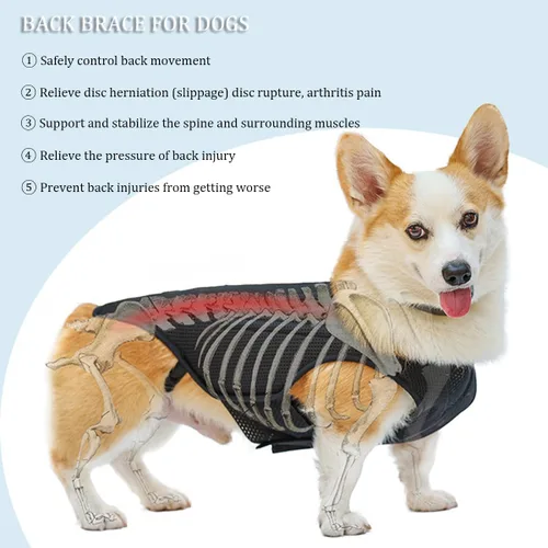 Vista 6 de IVDD - Soporte de espalda para perros, chaleco flexible de apoyo de espalda de perro salchicha para mascotas, soporte de espalda para mascotas