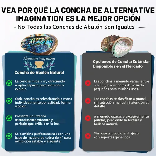 Vista 7 de Carcasa de abulón seleccionada a mano, 5 pulgadas + kit de cuenco pulido