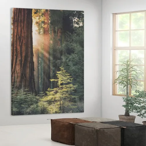 Vista 4 de Póster de lienzo con diseño de árbol de secuoya con salida del sol, bosque, naturaleza, decoración de dormitorio, paisaje deportivo, oficina