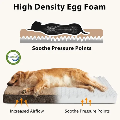 Vista 2 de JOEJOY Cama ortopédica para perros extra grandes