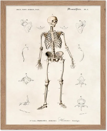 Vista 62 de Poster Master Póster de fotografía vintage, impresión gótica retro, regalo para artista, amigo, Halloween, familia espeluznante, disfraz extraño