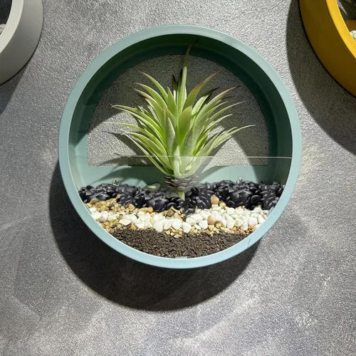 Vista 7 de Pulovin Piedras negras de 2.5 libras para plantas de interior, suculentas, bambú, jarrón, rocas para plantas de 3/8 pulgadas para macetas de Negro
