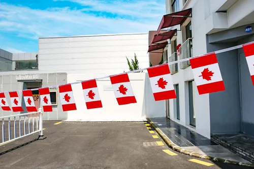 Vista 6 de Bandera de Canadá, bandera canadiense, 100 pies/76 unidades de banderines nacionales del mundo del país, suministros de decoración de fiesta