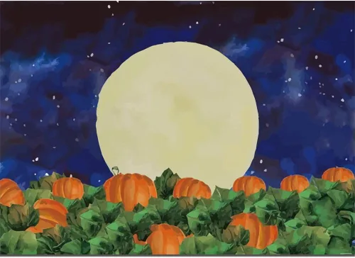 Vista 3 de Fondo de fotografía de campo de calabaza de Halloween de 10 x 8 pies, cielo estrellado, noche, luna, fondo de Halloween, baby shower, fiesta