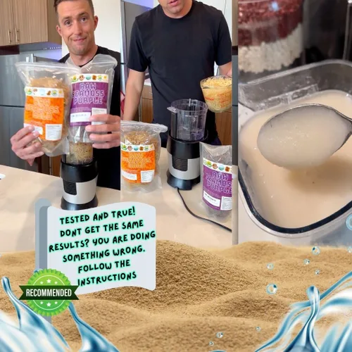 Vista 3 de Musgo marino morado Musgo marino irlandés Wildcrafted - 100% natural, hace más de 120 onzas de gel de musgo de mar, para la salud y el bienestar