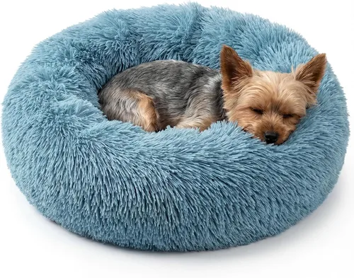 Vista 32 de Cama pequeña para perros extra pequeños para caniche de juguete Chihuahua Pomerania