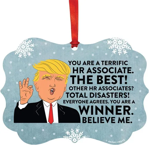 Vista 69 de Andaz Press Presidente Donald Trump Fancy Frame Recuerdo Adorno de Navidad Regalo de broma Ejecutivo de Cuenta, 1 paquete, Divertidas Ideas