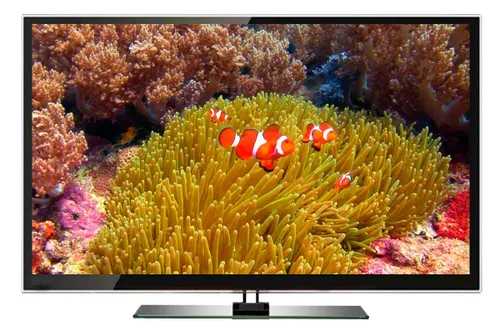 Vista 4 de Nature and Oceans Dvd - 2 DVD Set Ocean Reef Aquarium - A Relaxing Virtual Experience In Underwater World