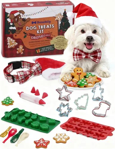 Vista 10 de BoneItUp Kit para hacer golosinas para perros, todo en uno, juego de galletas de bricolaje con 3 moldes de silicona reutilizables para perros, 3