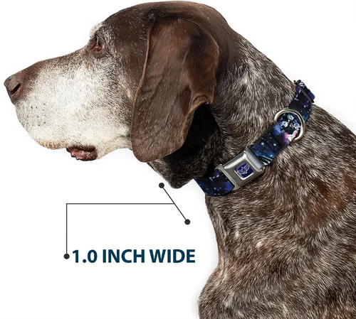 Vista 6 de Collar de perro hebilla de cinturón de seguridad Buzz Lightyear Poses Galaxy Blues 9 a 15 pulgadas 1.0 pulgadas de ancho