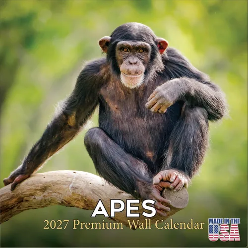 Vista 418 de Calendario de grises africanos 2025 2026 – Planificador mensual de pared de aves africanas – 12 x 18 pulgadas (abierto), calendario de pared