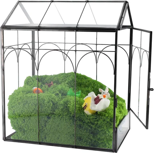 Vista 10 de HighFree Terrario geométrico para plantas con tapa, kit de terrario para suculentas para exhibición, plantas de aire, suculentas, terrario en Dorado