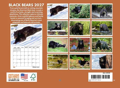 Vista 2 de Black Bear Calendario mensual de pared 2027 de 12 meses Negro (Black Bears)
