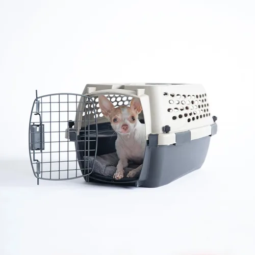 Vista 9 de Petmate Vari - Perrera/Transportadora para perros portátil apto para aerolíneas y jaulas para perros pequeños, plástico duradero, transportador