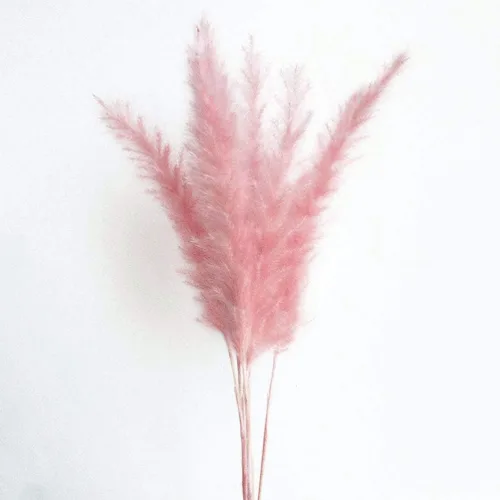 Vista 2 de 60 tallos de 22 pulgadas, flores secas naturales pequeñas de hierba de las pampas, Phragmites Communis, ramo de flores secas para bodas, arreglos