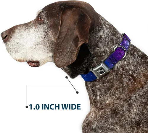 Vista 6 de Buckle-Down Collar de perro con hebilla de cinturón de seguridad, color azul galaxia/morado, 1 pulgada de ancho, se adapta a cuello de 9 a 15