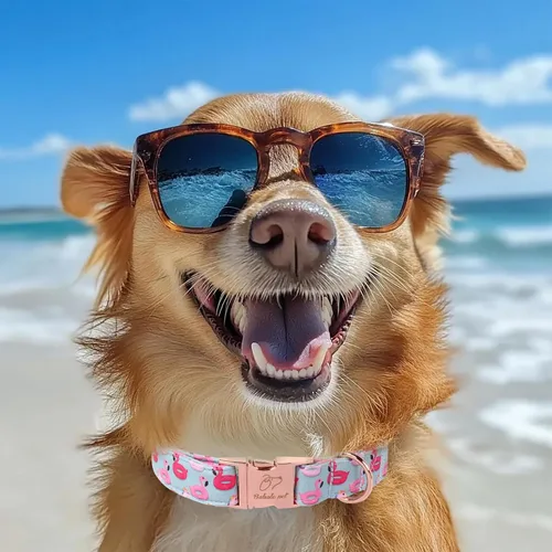 Vista 419 de Collar para perros del 4 de julio, collares patrióticos azules para cachorros y perros pequeños, ligero y ajustable 1776 collares para cachorros