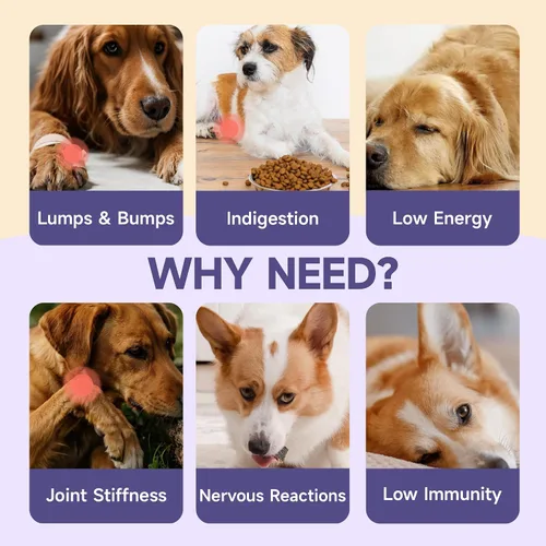 Vista 4 de Hongo para perros – 7 suplementos de hongos para perros, apoya la salud articular, cognición, celular e intestinal con melena de león, reishi, cola