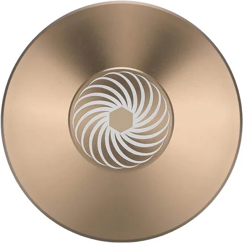 Vista 2 de Disco de audio con abrazadera de grabación Tocadiscos de aluminio Reproductor de discos Peso LP Disco Estabilizador Reductor de vibración (Oro)
