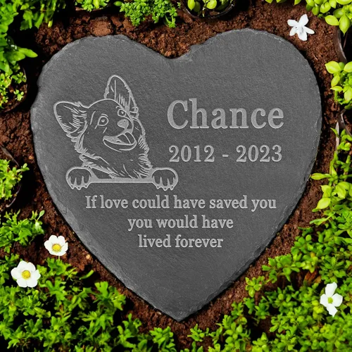 Vista 19 de Memorial personalizado de American Staffordshire Terrier, lápida de American Staffordshire Terrier, condolencias por pérdida de American