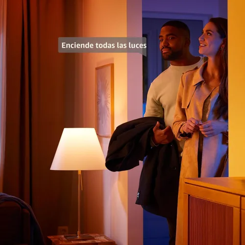 Vista 6 de Philips Hue Tira de luces Festavia de 65 pies, 250 mini LED inteligentes de cambio de color - Resistente a la intemperie, control con la aplicación