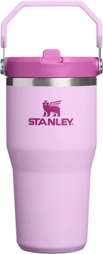 Vista 103 de STANLEY IceFlow 2.0 - Vaso con pajilla abatible con asa, 30 onzas, tapa giratoria y popote abatible, botella de agua a prueba de fugas, acero Tiza