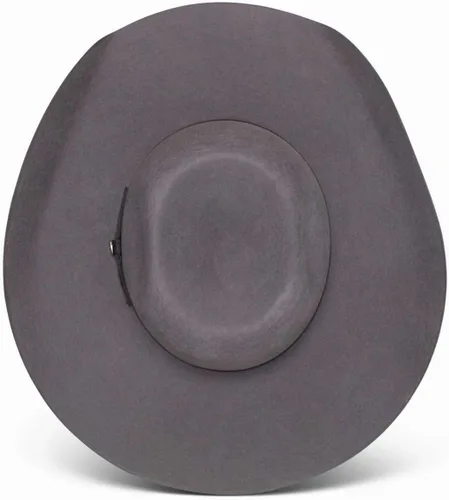 Vista 4 de Resistol Hooey Grey 4X Day Money Hat