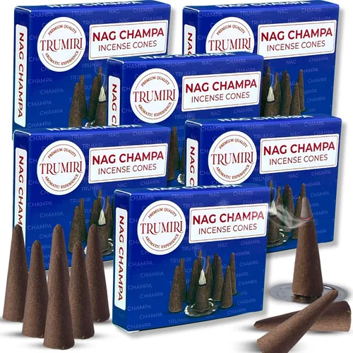 Vista 47 de TRUMIRI Incienso ámbar – Paquete de 20 conos (2 x 10) – Incienso de cono perfumado